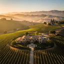 Cult & Allocation Wineries