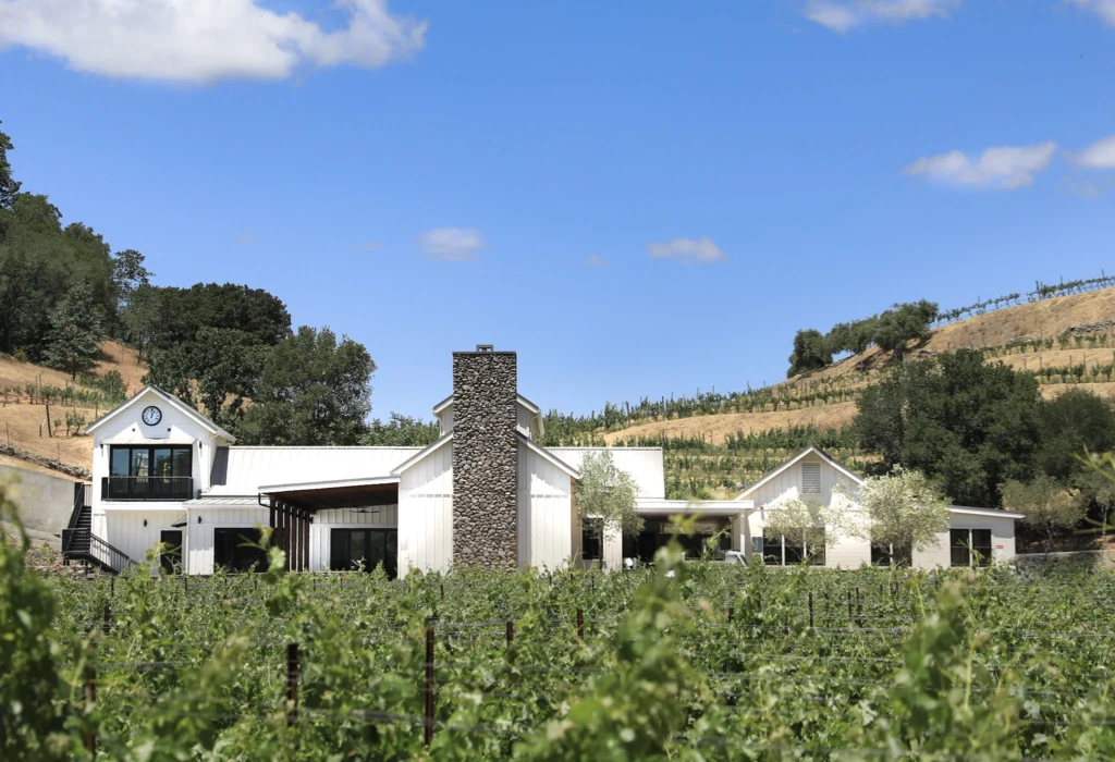Baldacci Family Vineyards
