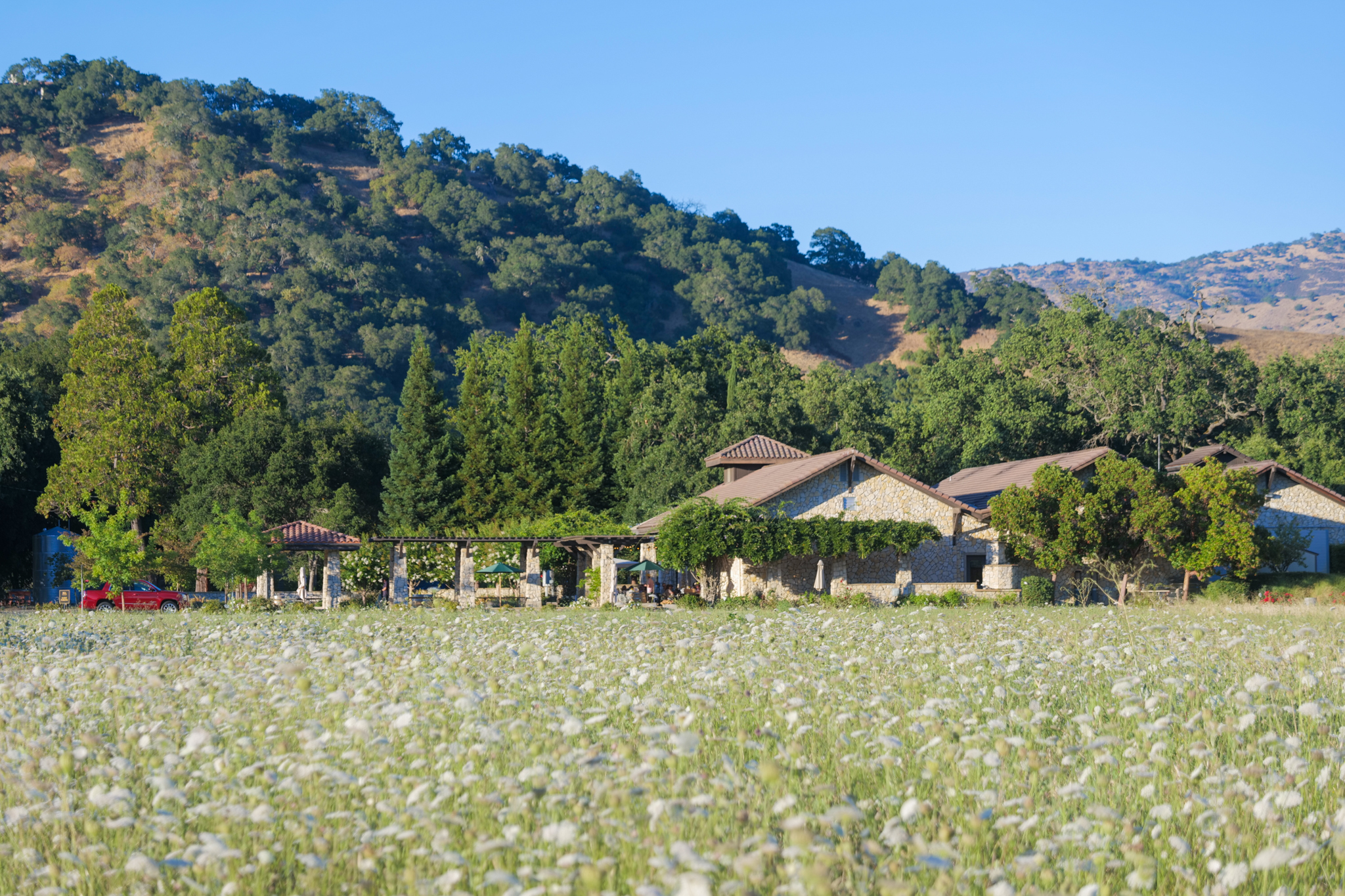 Bell Wine Cellars