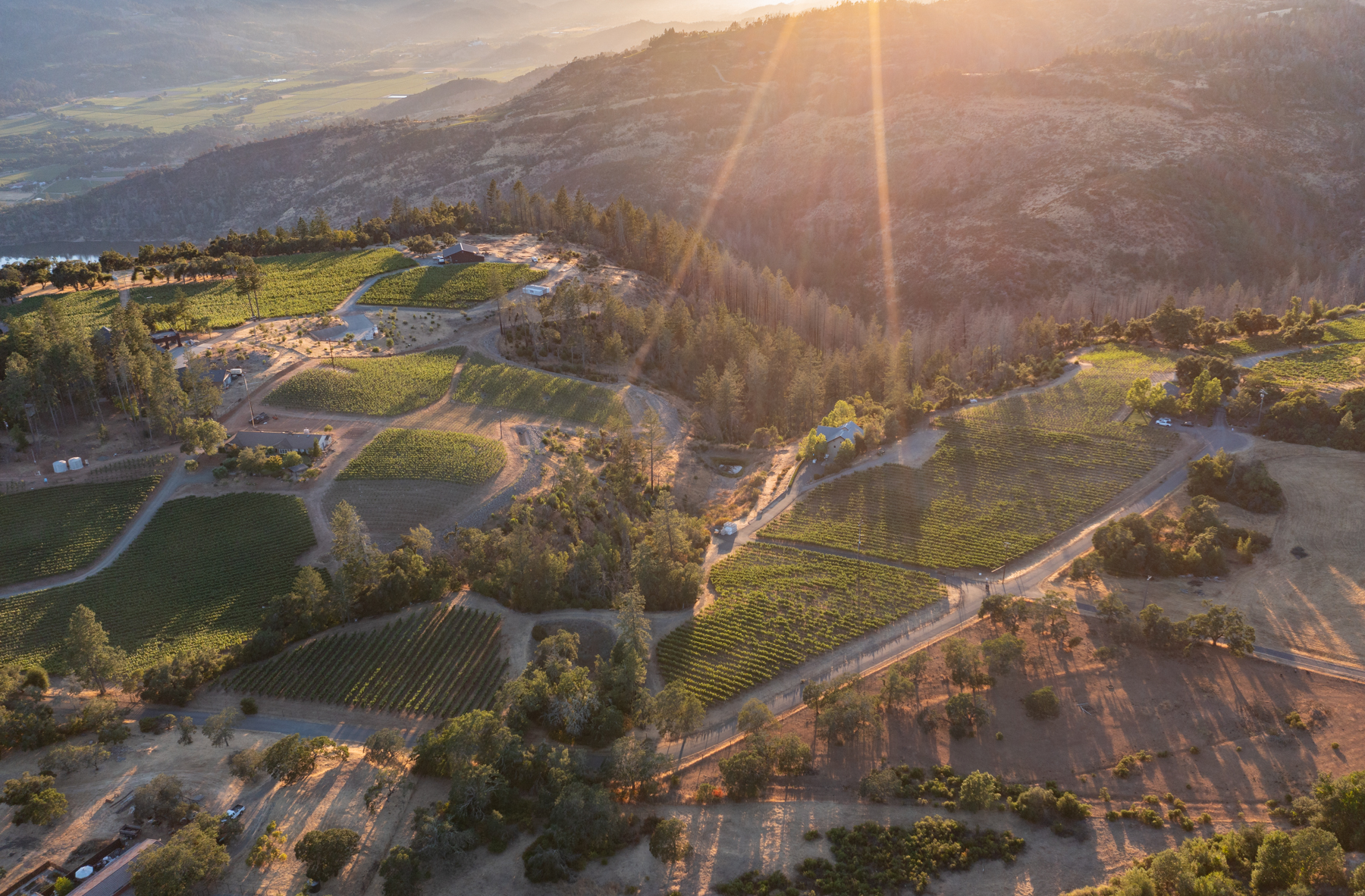 Bravante Vineyards