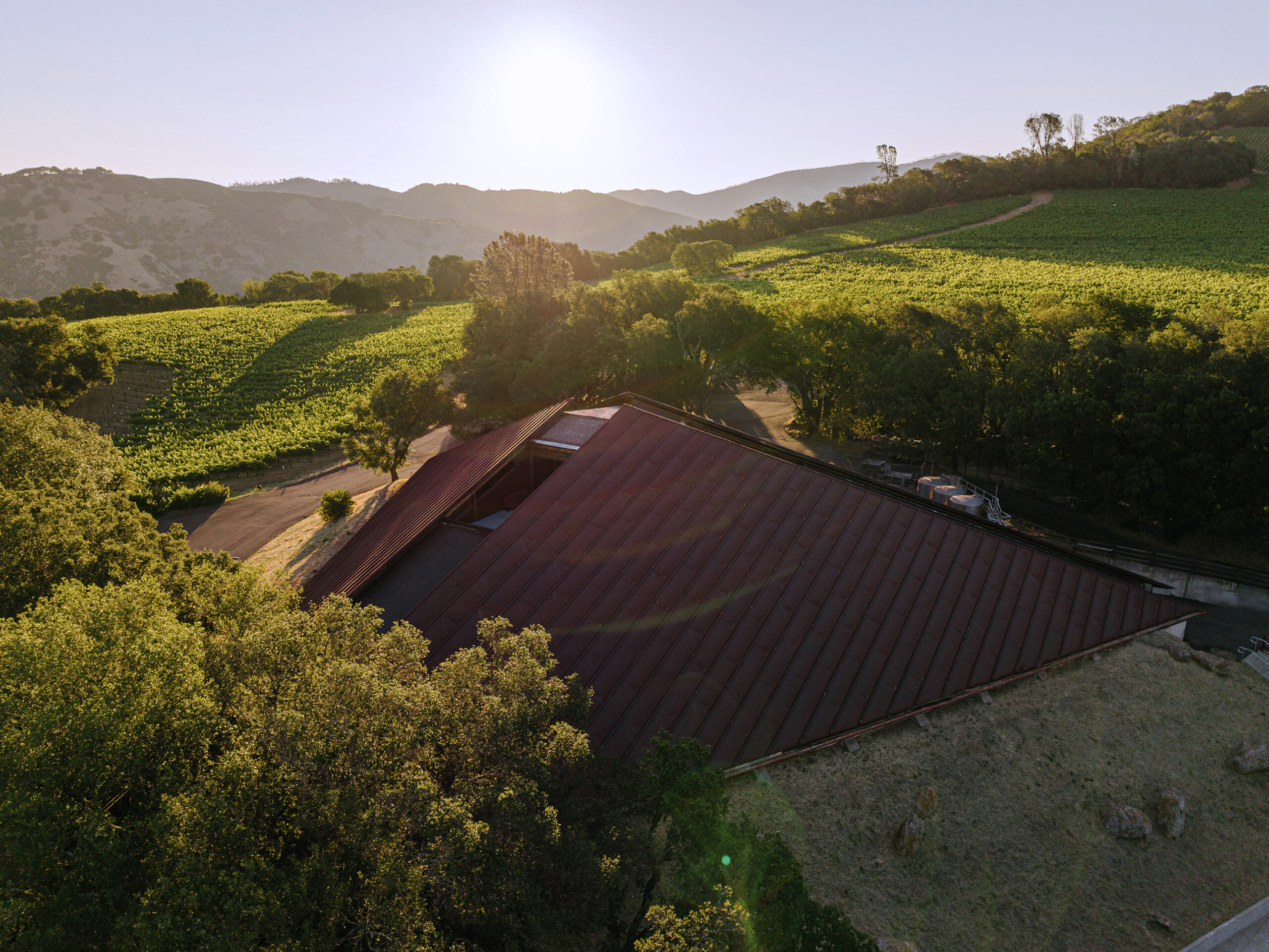 Chappellet Vineyard & Winery