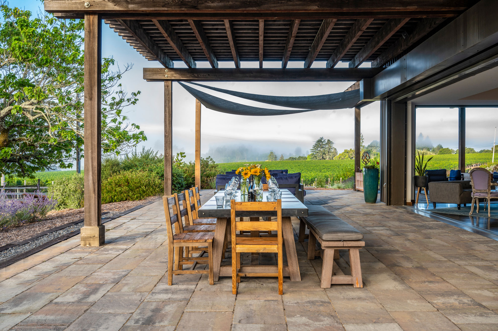 Emeritus Vineyards