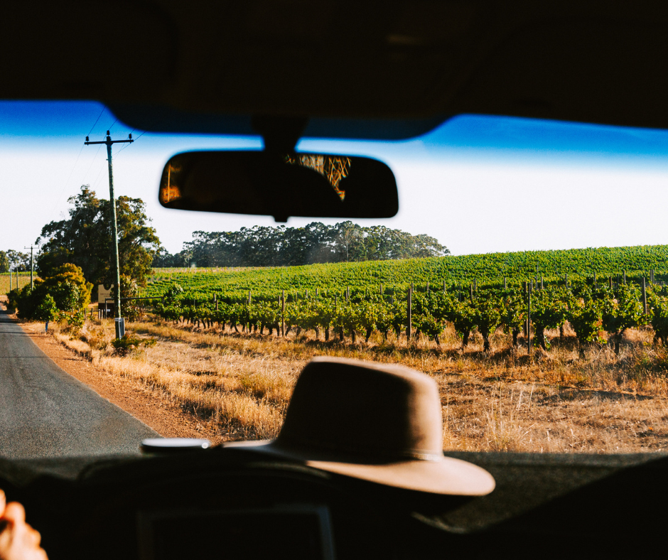 Highway 12 Vineyards & Winery