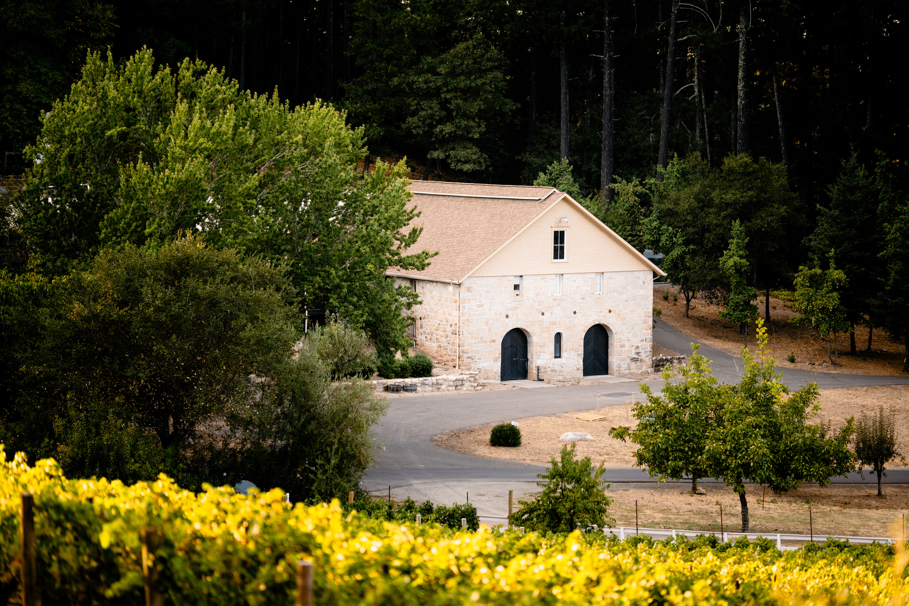 La Jota Vineyard