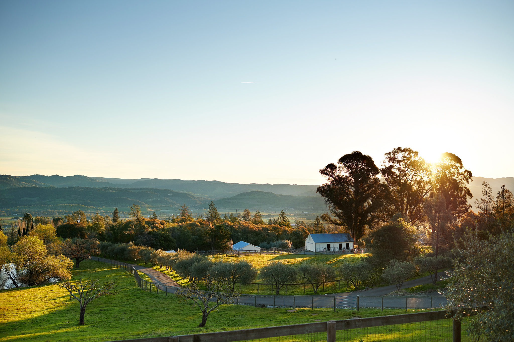 Long Meadow Ranch