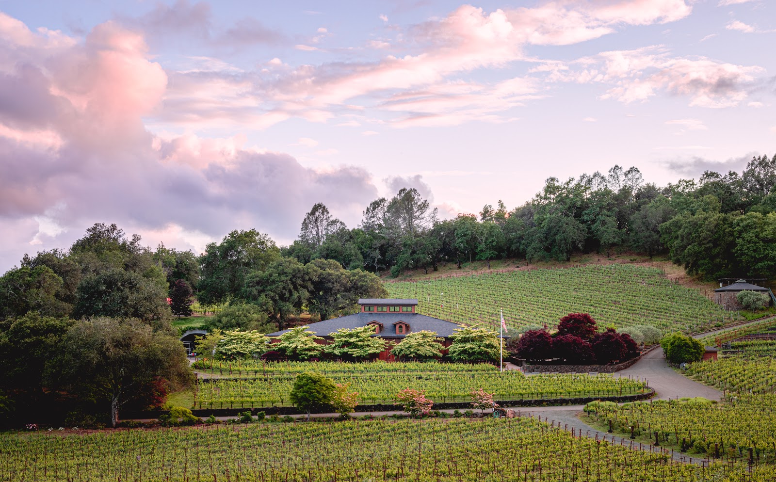 Neal Family Vineyards