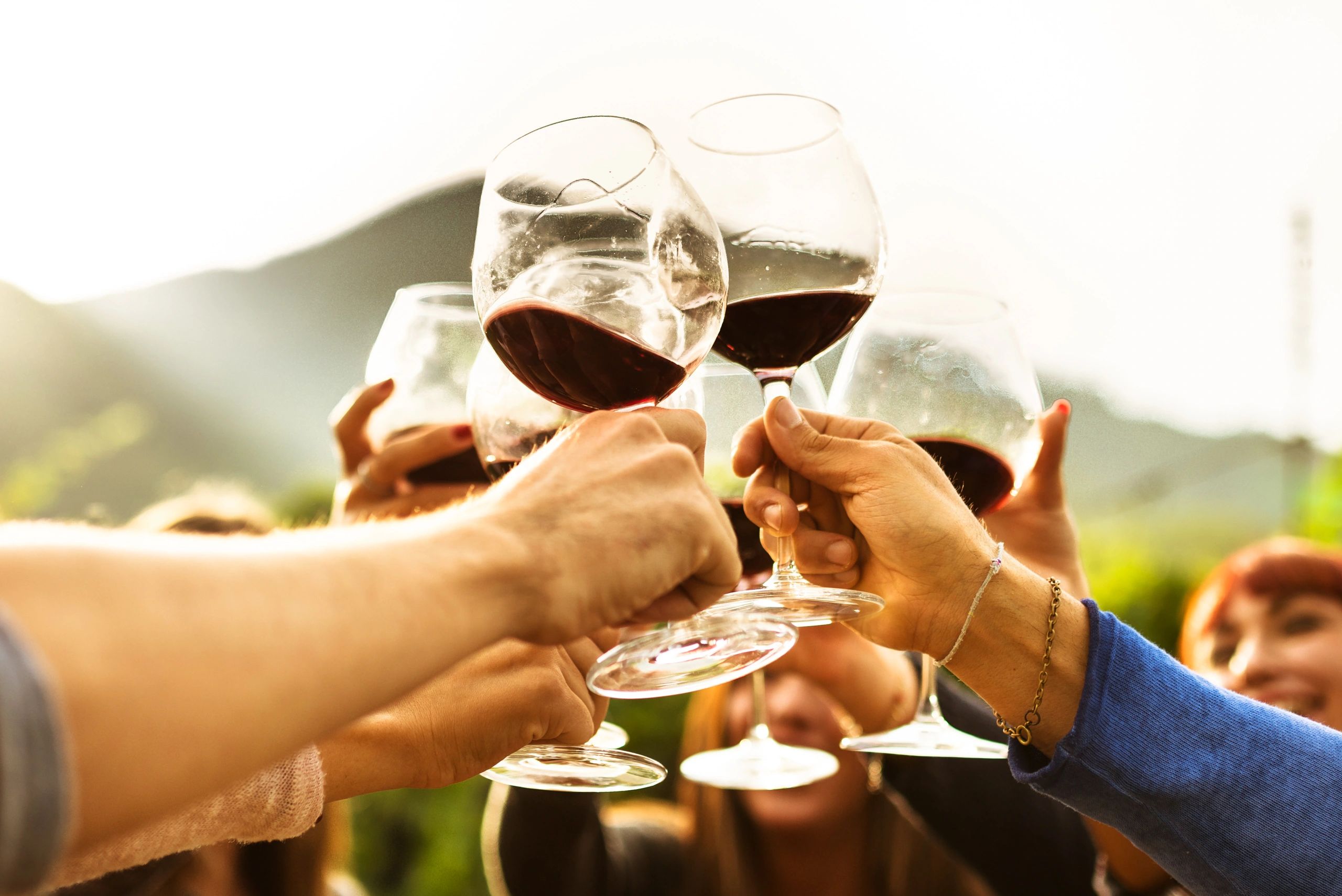 Pope Valley Winery