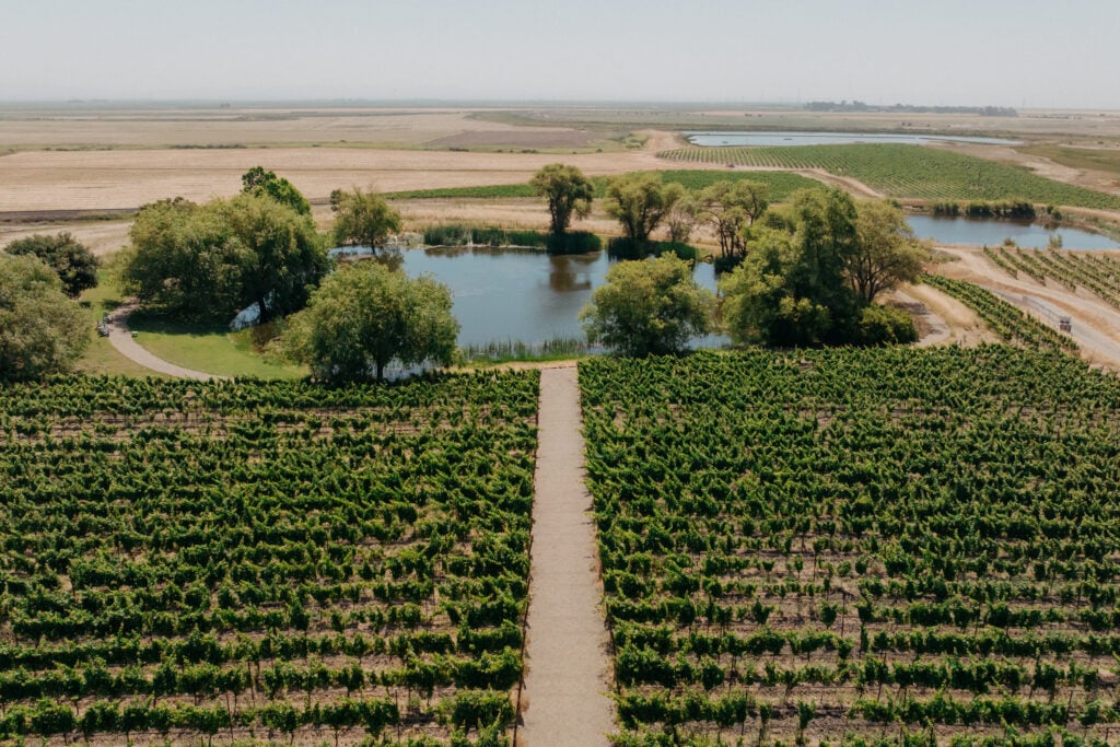 Ram's Gate Winery