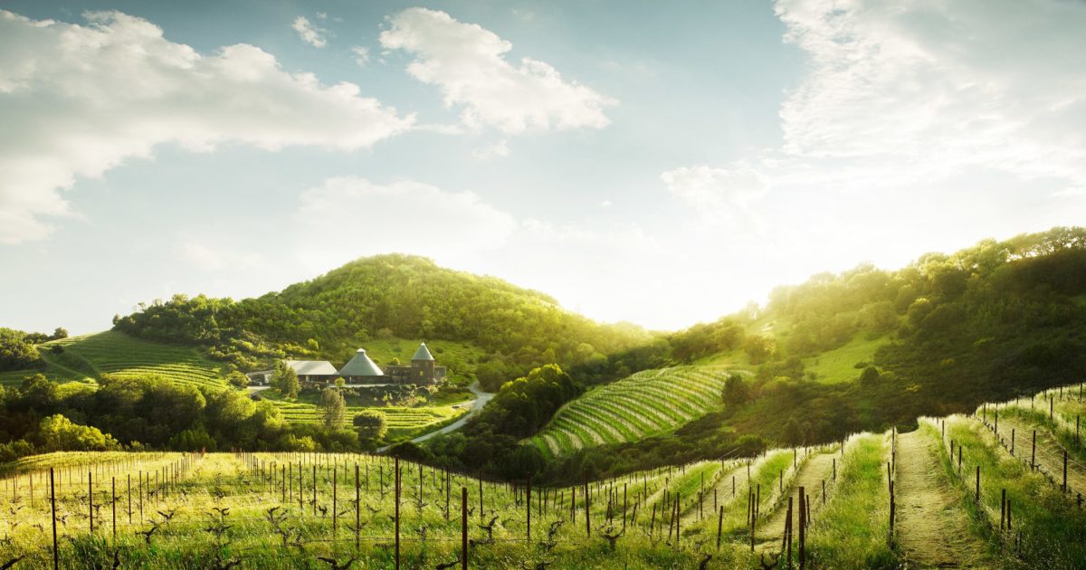 Repris Wines