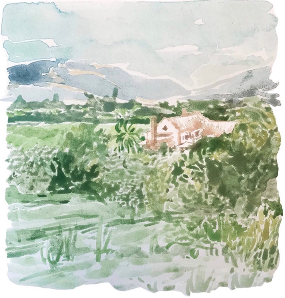 Scribe Winery